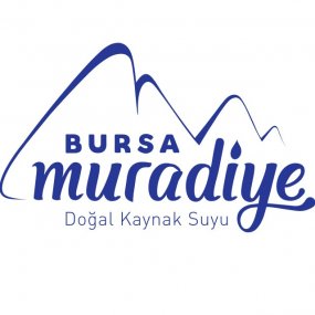 https://www.bursasu.com.tr/